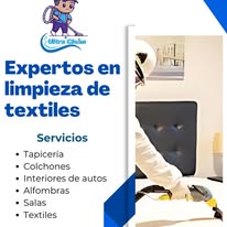 Limpieza de vestiduras